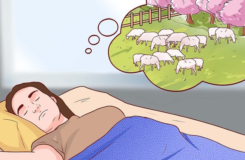 trucchi-per-prendere-sonno-contare-le-pecore